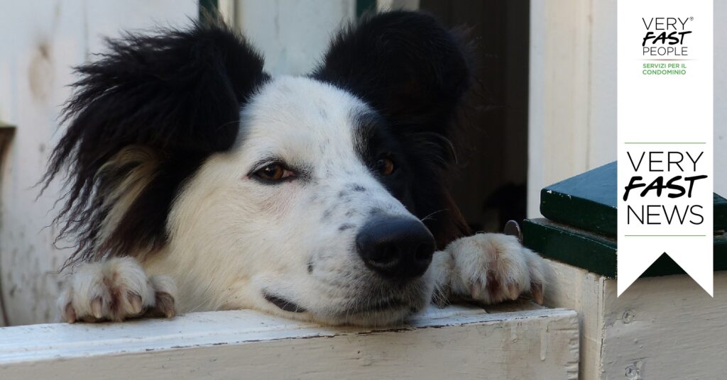 cani in condominio