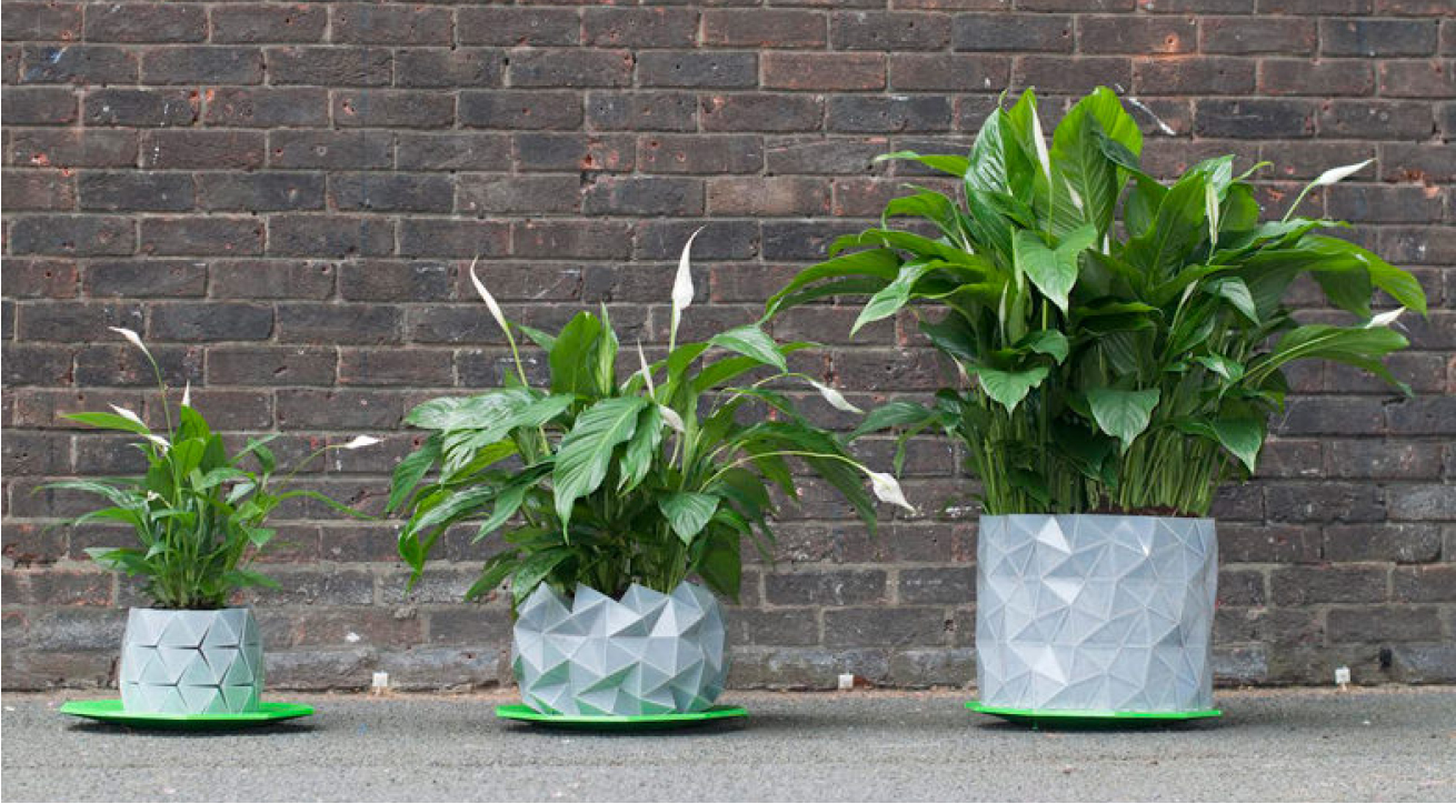 vaso growth